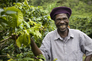 The farm of James Chirwa (not present), in the Lukalazi Zone, coffee growing region, Malawi. Farmer: Peter Banda